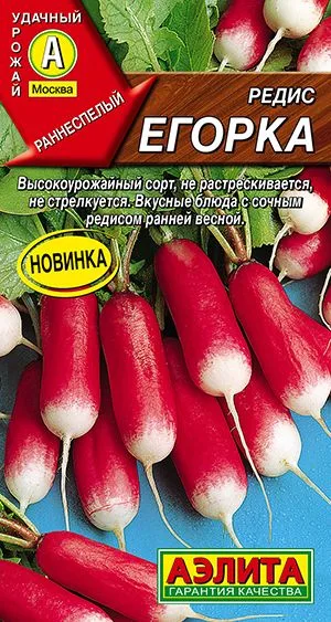 Редис Егорка