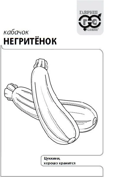 Семена: Кабачок Негритенок