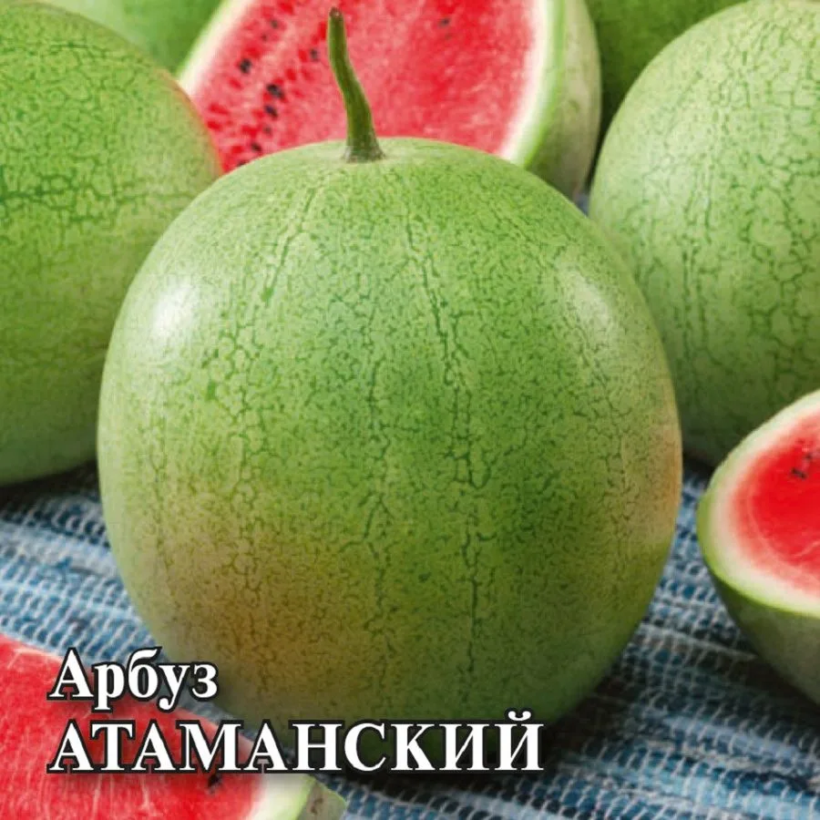 Семена: Арбуз Атаманский