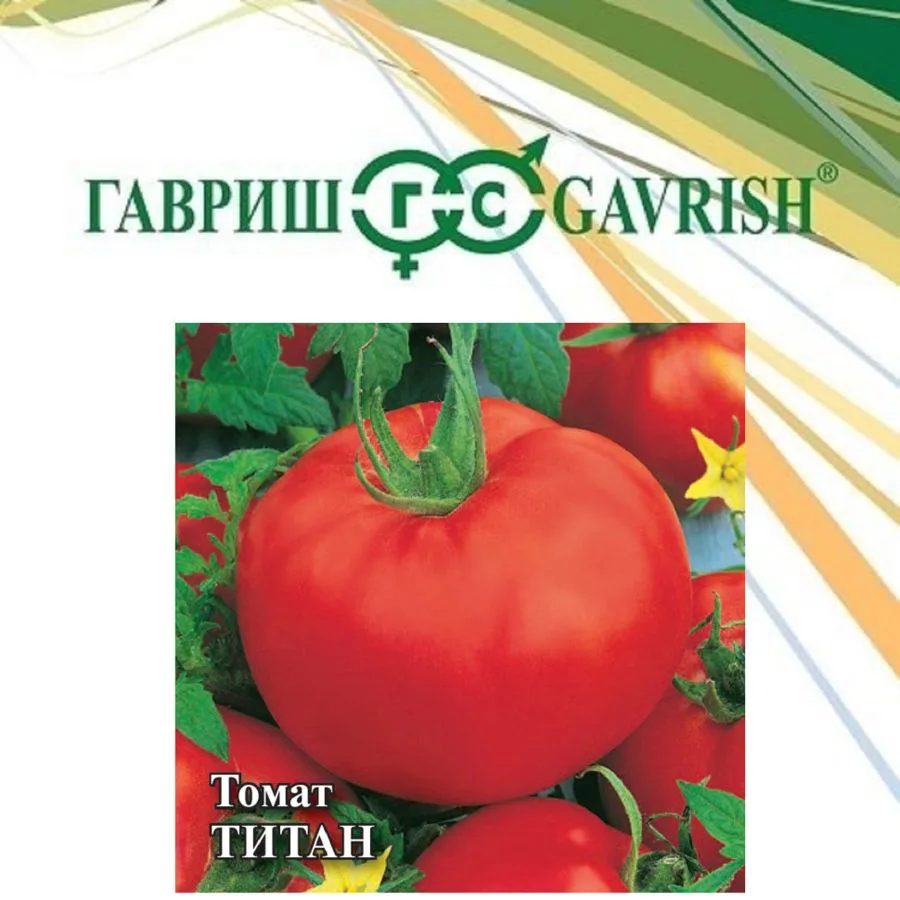 Томат Титан