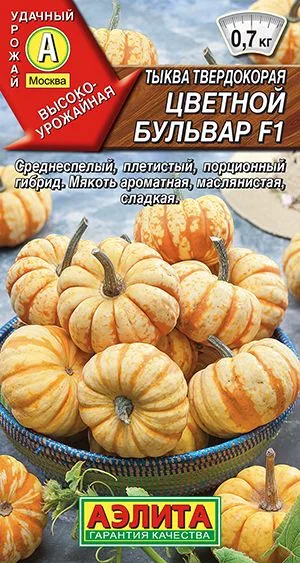 Тыква твердокорая Цветной бульвар F1
