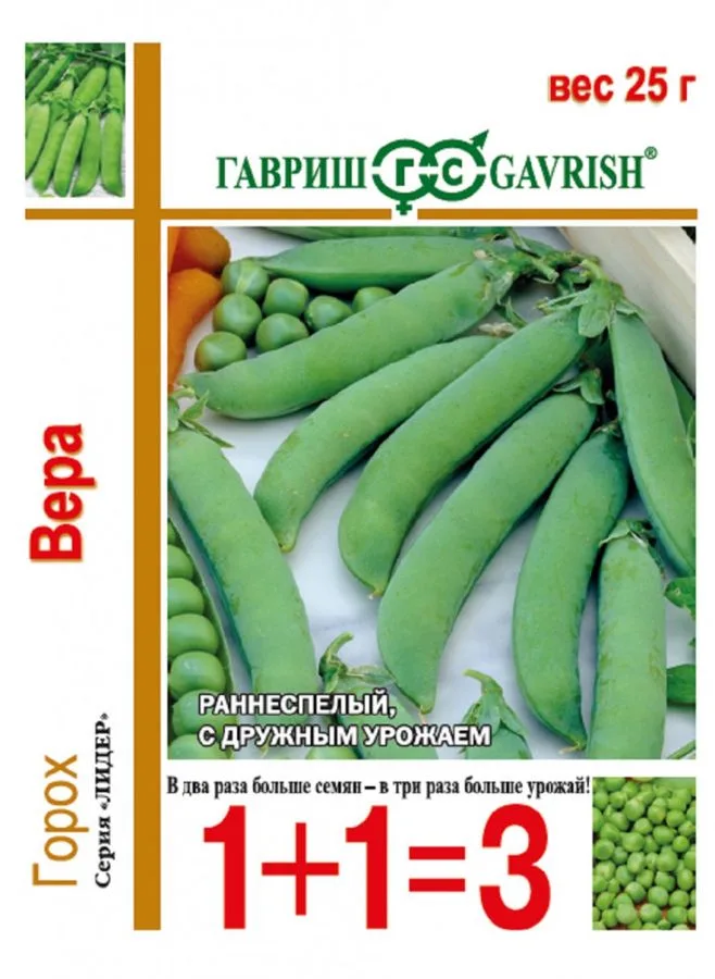 Фасоль Вера