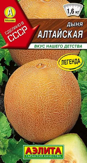 Дыня Алтайская