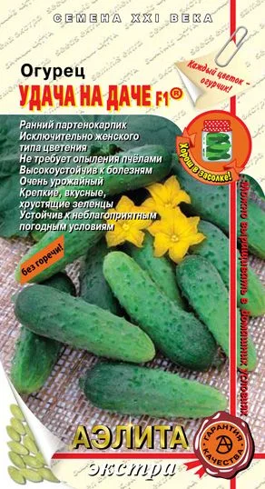 Огурец Удача на даче F1