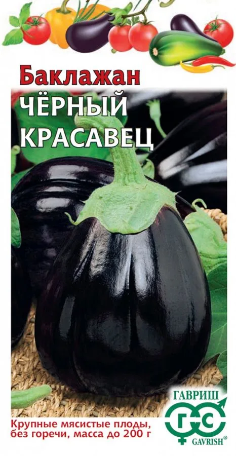 Баклажан Черный красавец