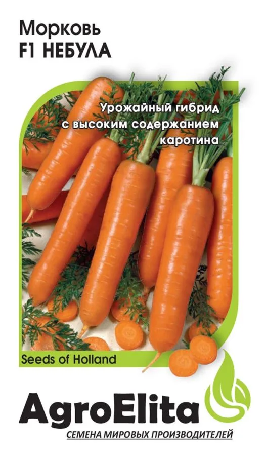 Морковь Небула F1