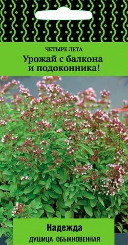 Пряные травы Душица обыкновенная Надежда