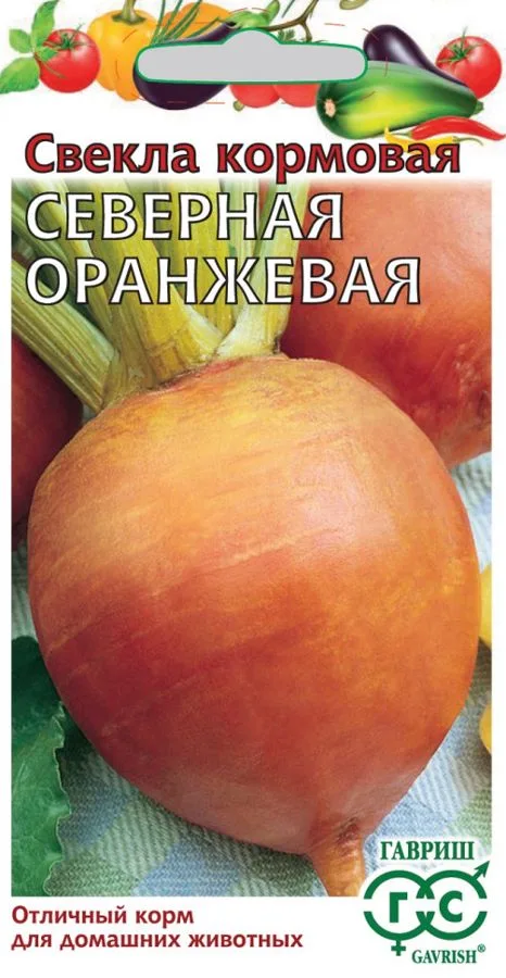 Свёкла Северная оранжевая