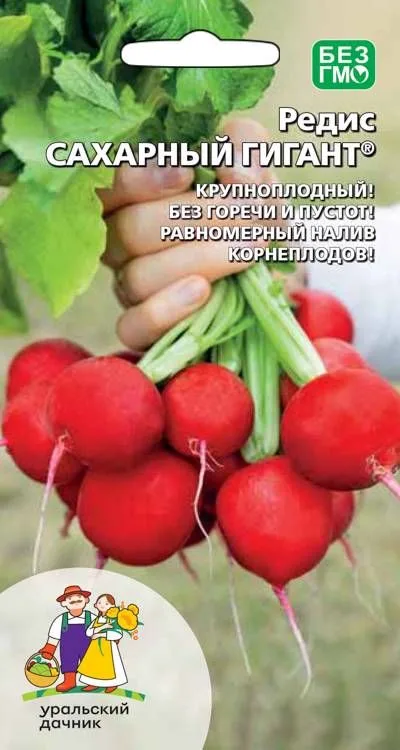 Редис Сахарный гигант
