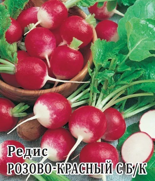 Редис Розово-красный с белым кончиком