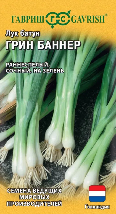 Лук батун Грин Баннер