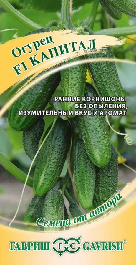 Огурец Капитал F1