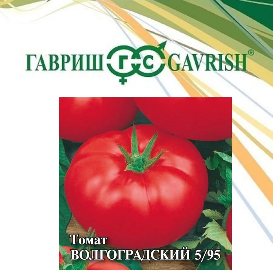 Семена: Томат Волгоградский 5/95