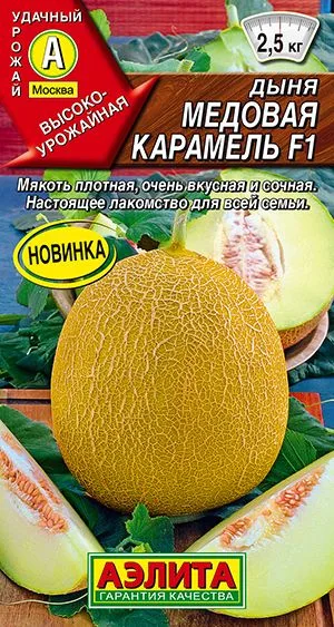 Дыня Медовая карамель F1