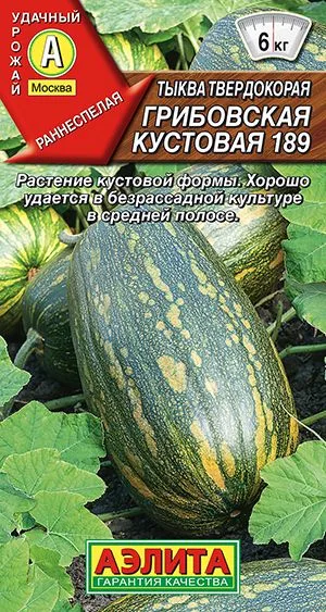 Тыква твердокорая Грибовская кустовая 189