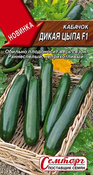 Кабачок цуккини Дикая цыпа F1