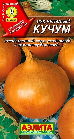 Лук репчатый Кучум