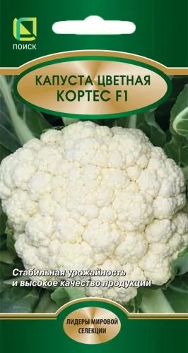 Капуста цветная Кортес F1