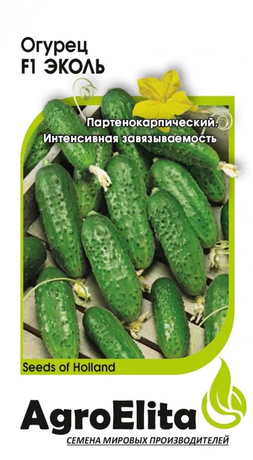 Огурец Эколь F1