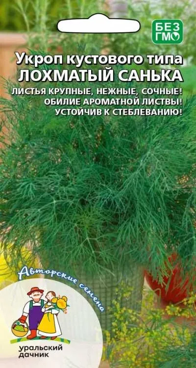 Укроп Лохматый Санька