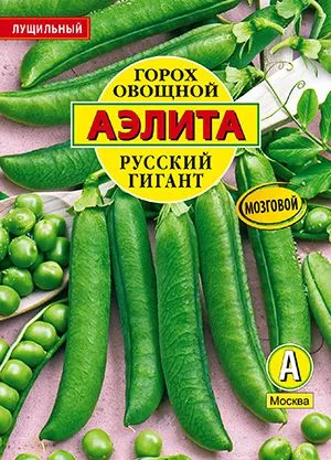 Горох овощной Русский гигант (обработанные семена)