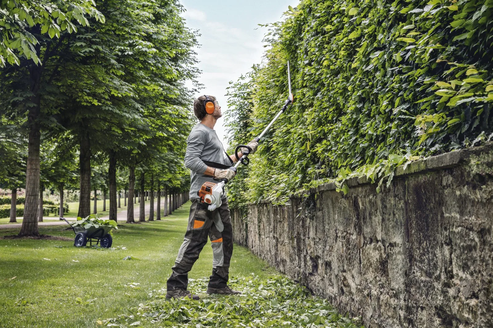 Бензиновый кусторез STIHL HL 94 C-E — фото производителя