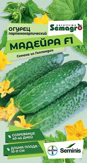Семена: Огурец Мадейра F1