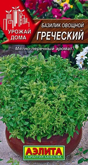 Базилик овощной Греческий