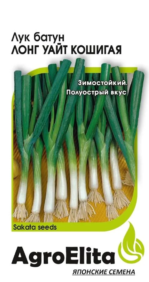 Лук батун Лонг Уайт Кошигая