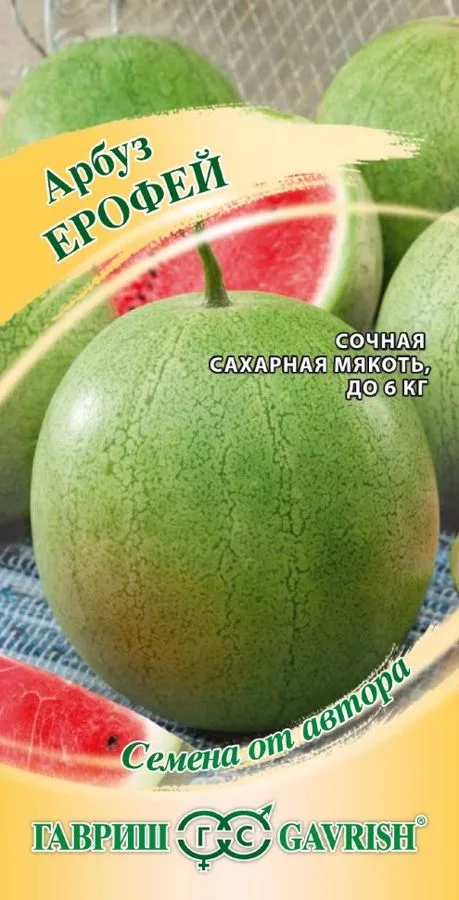 Арбуз Ерофей