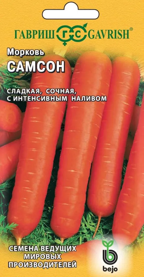 Морковь Самсон