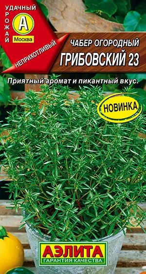 Пряные травы Чабер огородный Грибовский 23