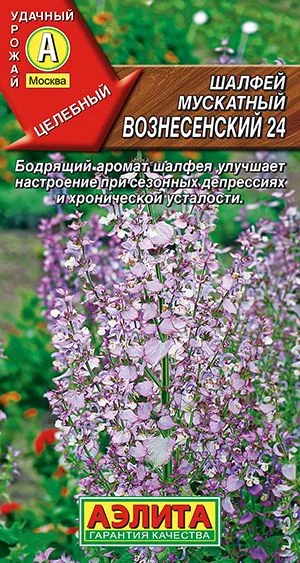 Лекарственные травы Шалфей мускатный Вознесенский 24