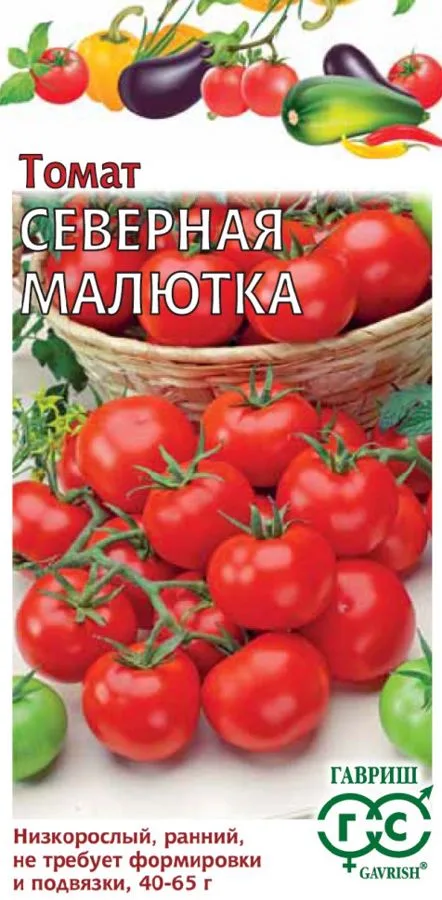 Томат Северная малютка