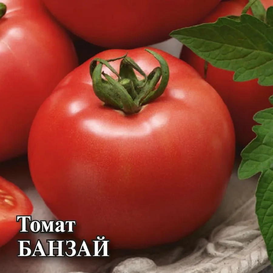 Семена: Томат Банзай