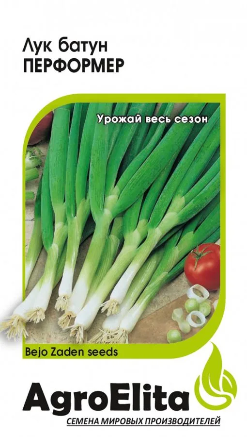 Лук батун Перформер