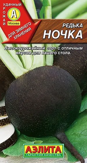 Редька Ночка