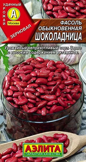 Фасоль обыкновенная Шоколадница