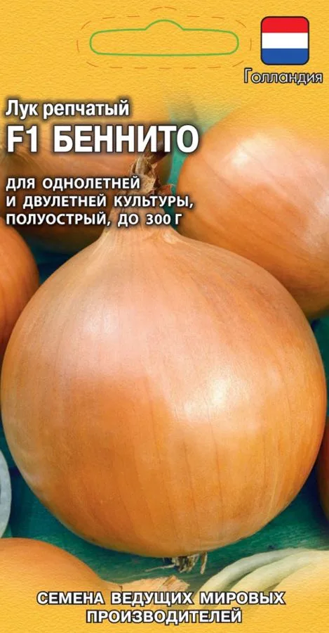 Лук репчатый Беннито F1