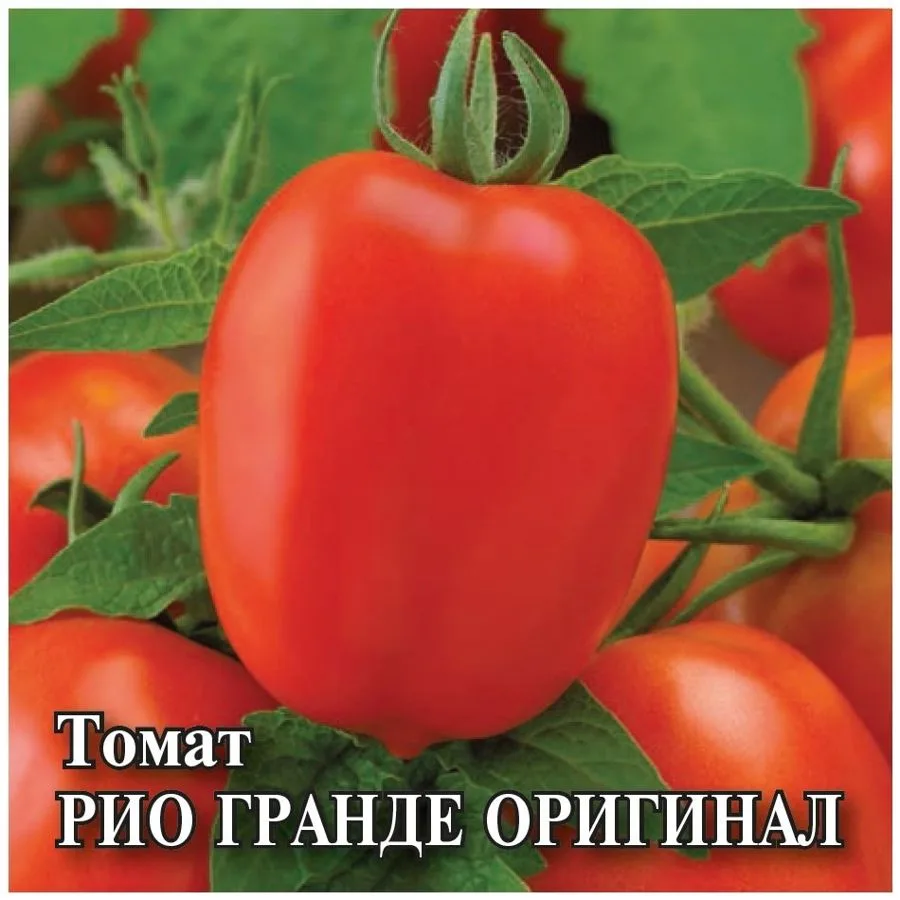 Семена: Томат Рио Гранде Оригинал