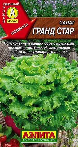 Салат Гранд стар