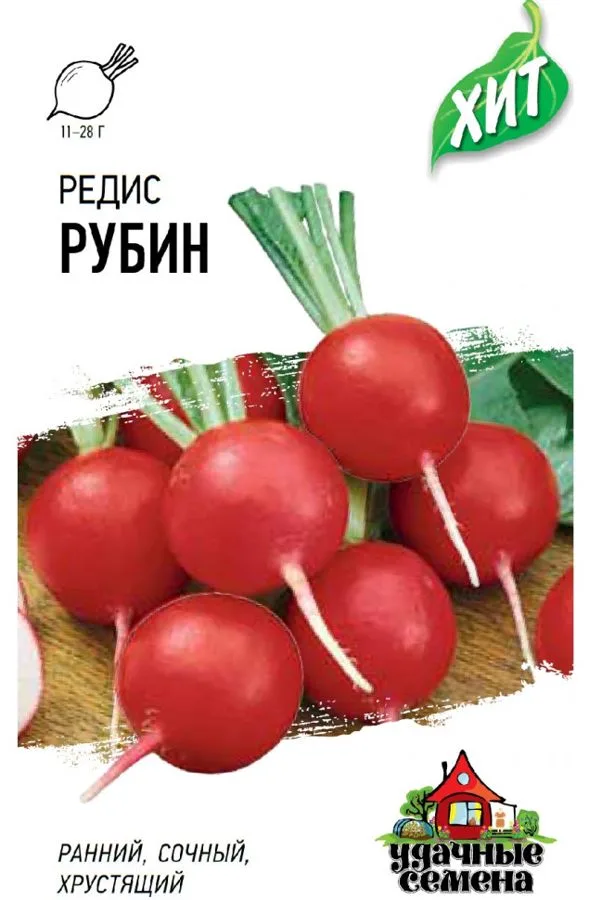 Редис Рубин