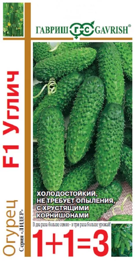 Огурец Углич F1