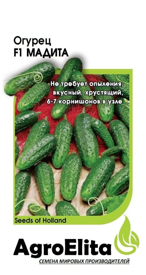 Семена: Огурец Мадита F1