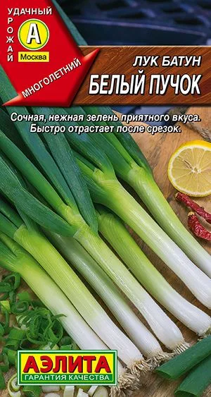 Лук батун Белый пучок