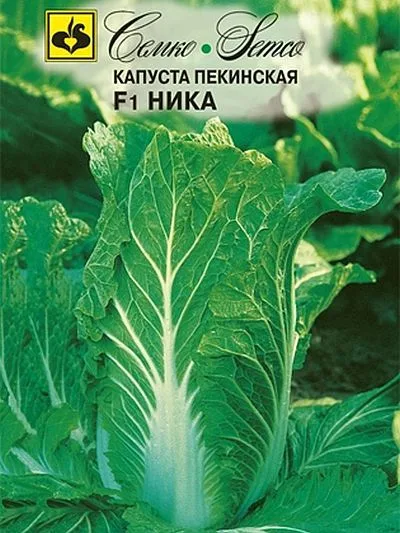 Капуста Ника F1
