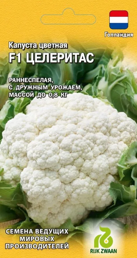Капуста цветная Целеритас F1