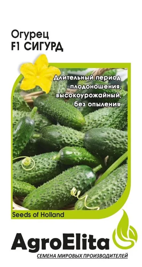 Огурец Сигурд F1
