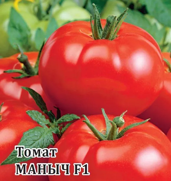 Семена: Томат Маныч F1