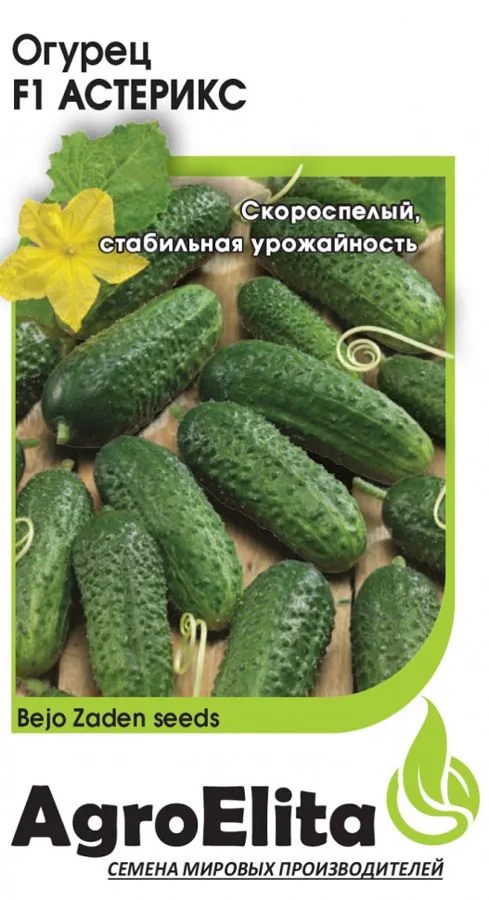 Огурец Астерикс F1